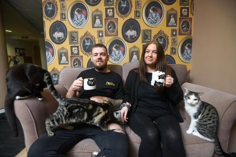 Rick, 32, and Katie, 28, who have their own pet cat called Ava at their home, opened the cafe after years of working in the hospitality industry. They work with charities Tender Paws and Blackpool Cats in Care to showcase cats that are looking to be adopted.