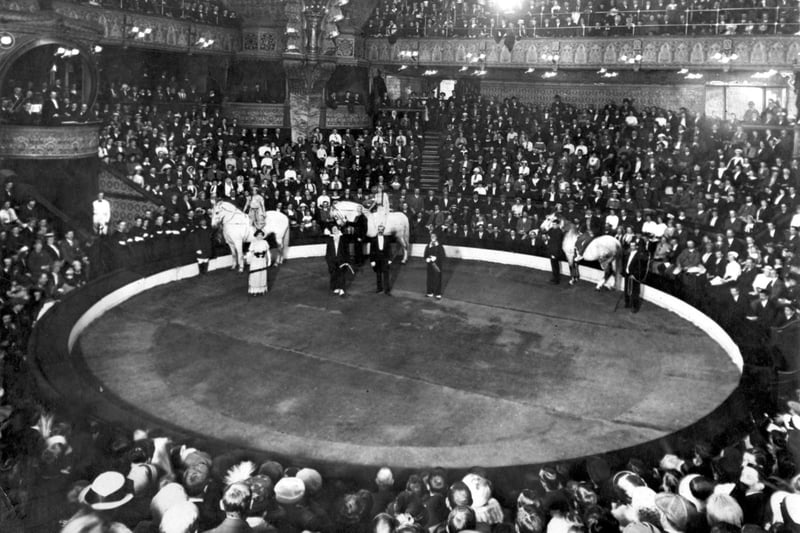 A packed audience at Blackpool Tower Circus applauds the Hanneford family with their horses in 1914
