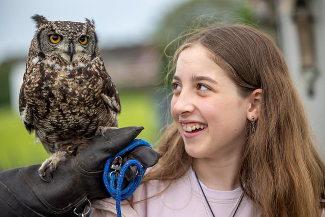 Lola McCall with Zaz - an African spotted Eagle Owl