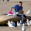 Man tries to eat his fish and chips while a cohort of hungry gulls watch on at Blackpool seafront (Credit: LBphotography/ SWNS