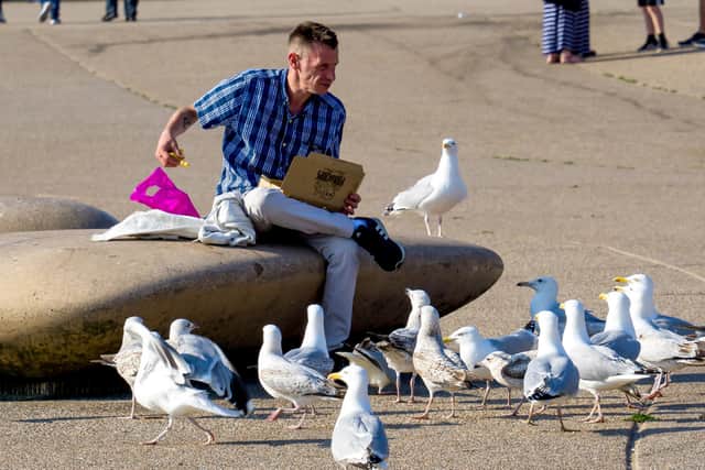 Man tries to eat his fish and chips while a cohort of hungry gulls watch on at Blackpool seafront (Credit: LBphotography/ SWNS