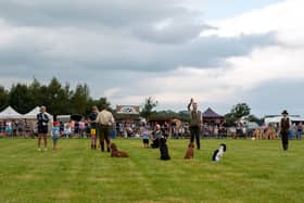 Kirkbourne Spaniels