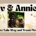 Mav & Annie’s Pet Store logo, featuring the shop’s namesakes, Maverick and Annie, alongside the UK Small Business Awards 2025 Finalist badge.