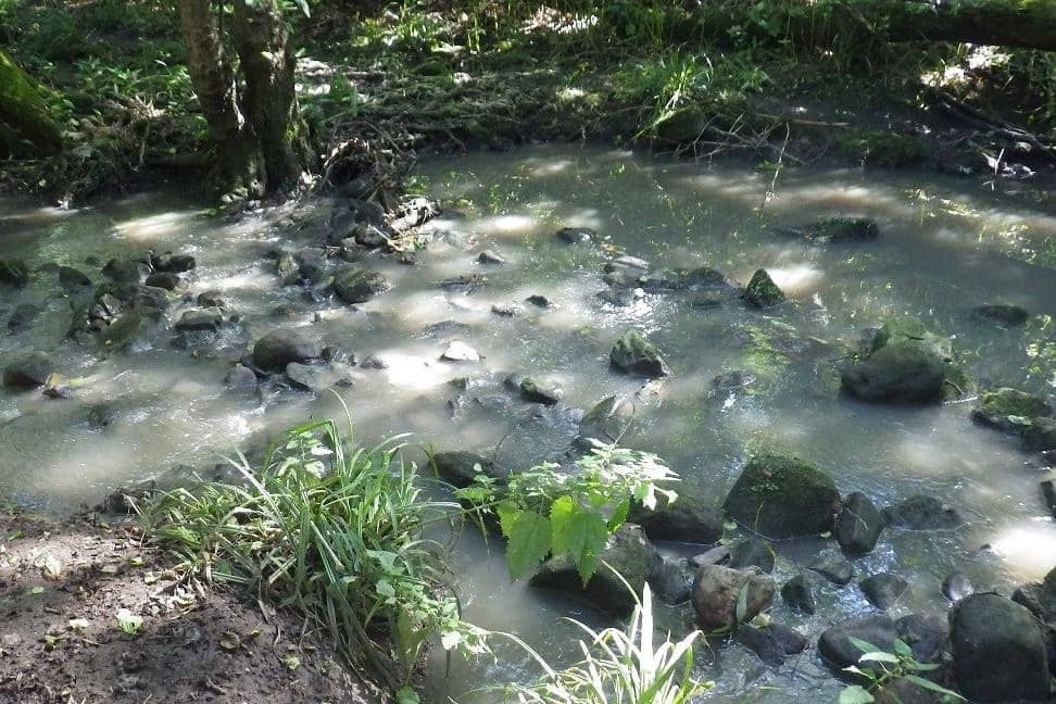 An example of water pollution in Harrogate at Hookstone Beck