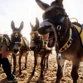 "Love everything about Blackpool as a child and now...many happy memories. Beach and donkeys, ice cream, fish and chips" - Sharon James