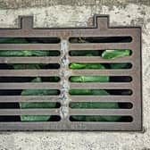 Effective drainage is a critical aspect of property maintenance. Photo: Pexels