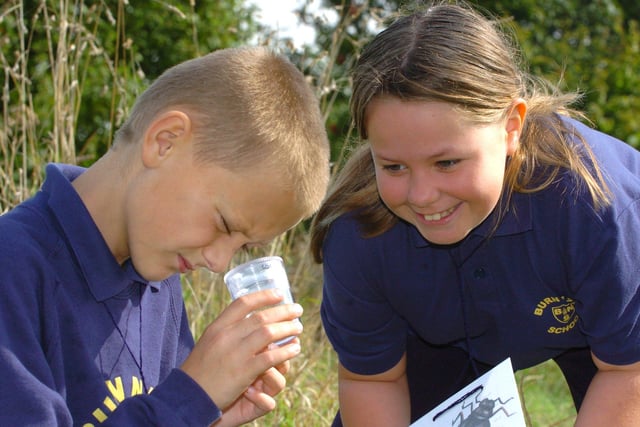 Children from Burn Naze Primary School took part in an outdoor wildlife lesson at Wyre Estuary Country Park at Stanah. Pupils Jamie Dibb (10) and Demi Perrin (10) look at some of the insects they have found