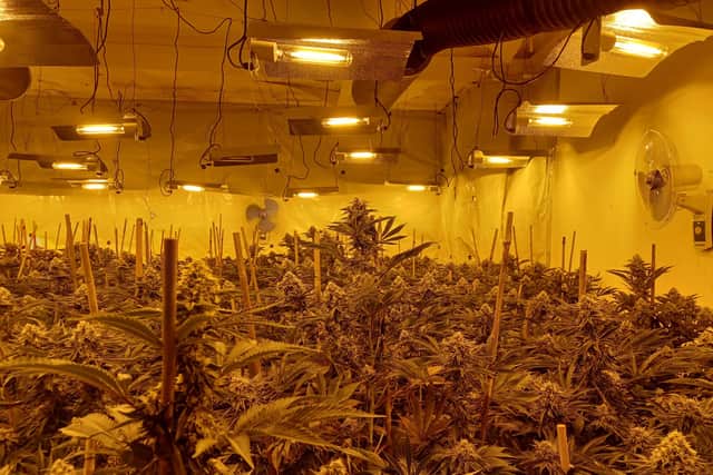 A total of 24 cannabis farms were discovered and dismantled in June, with 16 people arrested and five charged. In the raids, 2,949 cannabis plants with a street value of around £1.47 million were seized, along with with nine kilograms of cannabis bush worth around £45,000. (Photo by Lancashire Police)