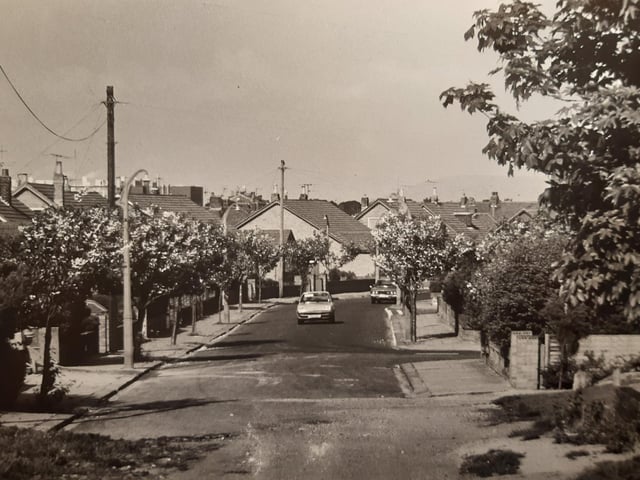 Linden Avenue...