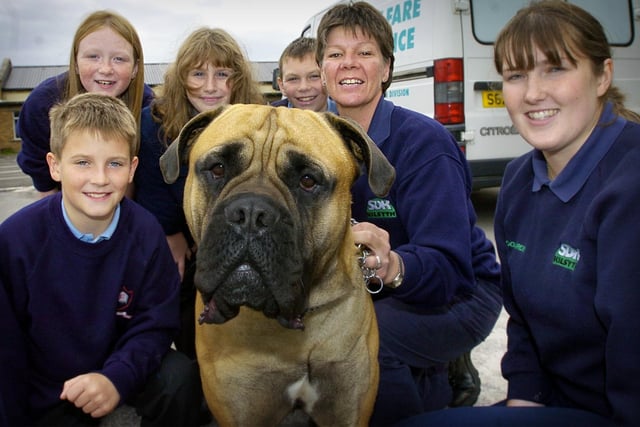 Blackpool Council helped to promote their campaign for responsible dog ownership when council dog wardens brought Boycie the bull mastiff to Devonshire Junior School.
Pictured with Boycie are dog wardens Mandy Barr and Lynne Langley (right) with pupils Jack Lowe, Alicia Traynor, Deborah Lee, and Jake Shelley