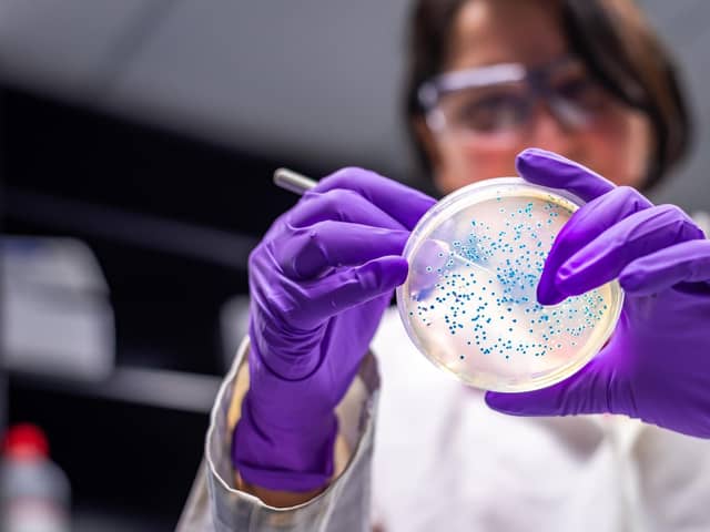Microbiology. Picture posed by model.