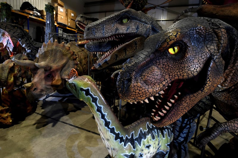 They're big and they move - down at the  Jurassic Earth warehouse in Leyland