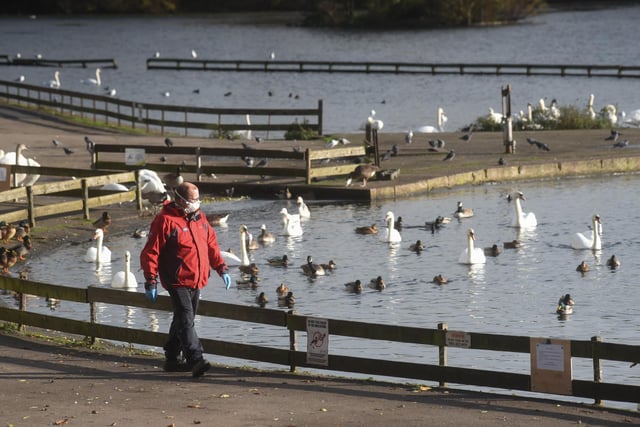 "Stanley Park has got to be one of the most stunning parks in England."
- Janine Brownwood