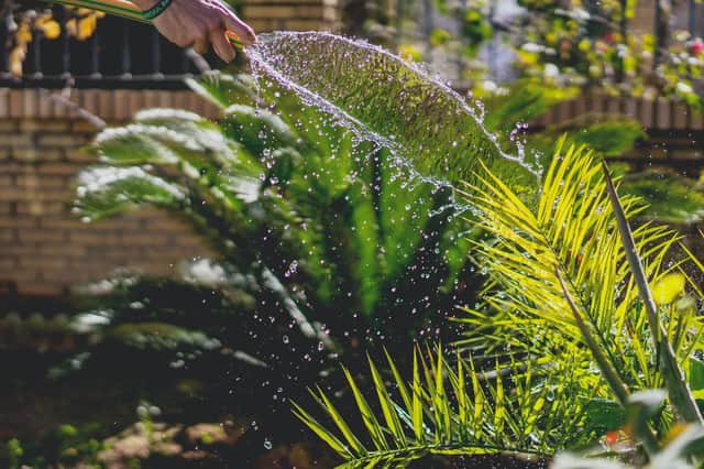 What do you do when there is a hosepipe ban? (photo: Unsplash)