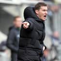 Rotherham boss Matt Taylor