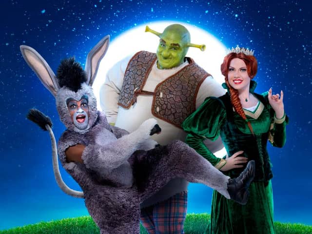 Brandon Lee Sears (Donkey), Antony Lawrence (Shrek) and Joanne Clifton (Princess Fiona) in the new touring production of Shrek the Musical