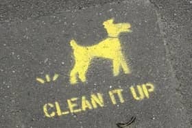 The 15 worst streets for dog mess on the Fylde Coast as voted by you including roads in Blackpool, Fleetwood and Cleveleys
