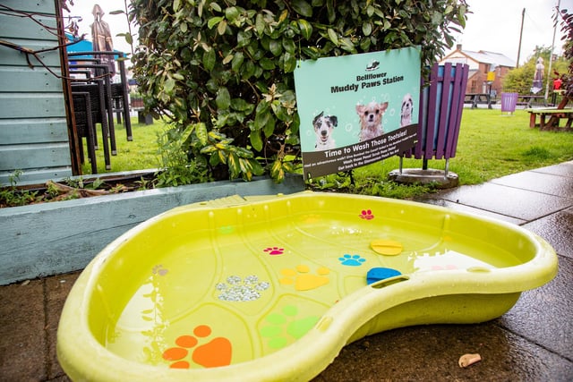The muddy paws station is a bath for dogs.