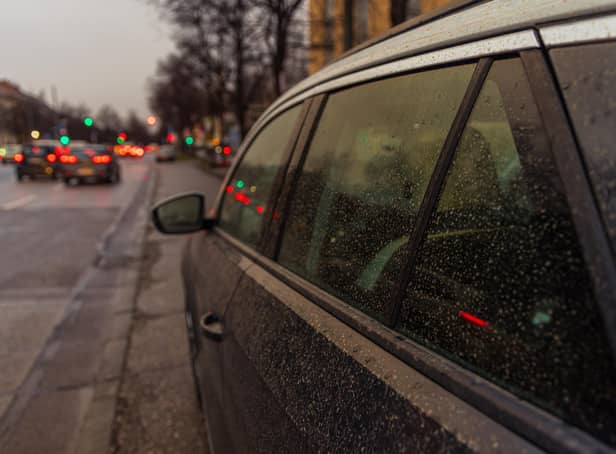 'Blood rain' on a car