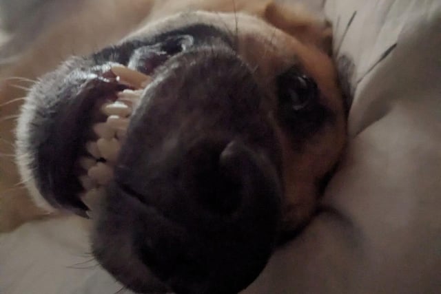 Poppy says Happy Thursday!