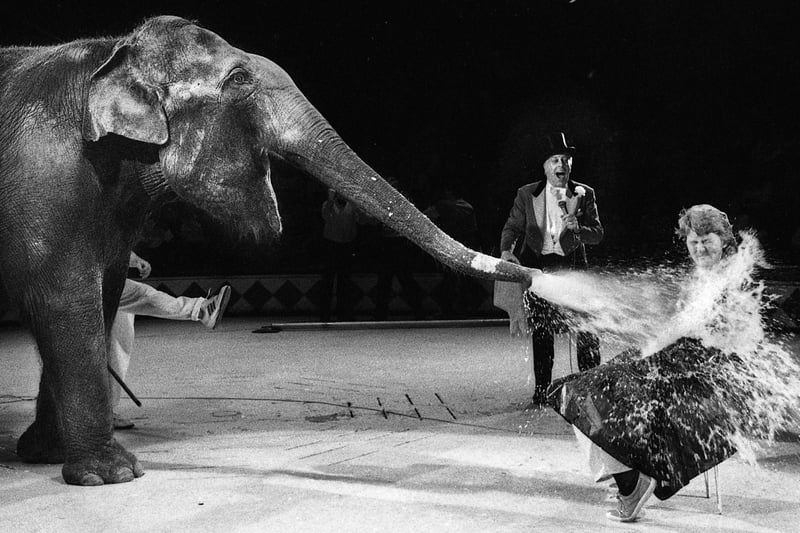 Teacher Laura Turner, is sprayed with gallons of water by Alexandra the elephant at Blackpool Tower Circus for a special wash and shampoo session on Wednesday 25th of October 1989. Laura loved elephants and won the chance to have her unique hairdo in a National Childrens Home Charity auction