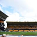 Blackpool take on Wolves at Molineux (Photo by Harriet Lander/Getty Images)