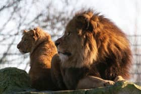 Khari and his dad Wallace at Blackpool Zoo.