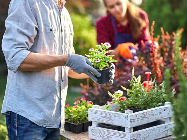 Following a harsh winter, house-proud Brits are being urged to get ahead of their Spring cleaning and spruce up their garden in time for some brighter spring weather