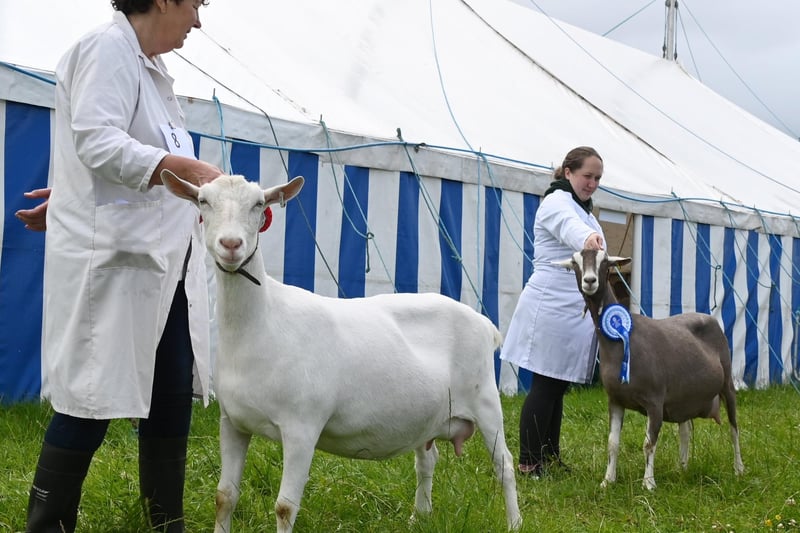LANCASHIRE POST - BLACKPOOL GAZETTE - 15-07-23  The annual Great Eccleston Show, a two-day event showcasing all things rural.  With demonstrations, competitions, arts, crafts, horticulture and agriculture.