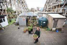 The Grand National towers above the Pleasure Beach's own greenhouses - but it has been like that for many years after the space was allocated for gardening. Head gardener Wendy Maynard said: "The Pleasure Beach is 42 acres and very ride intensive. We have to manage space very well and our greenhouses nestled in between the ride structure is a perfect area behind the scenes to carry out our gardening duties."