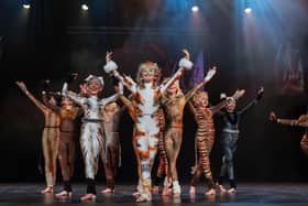 Clever Cats in Twinkletoes at the Winter Gardens