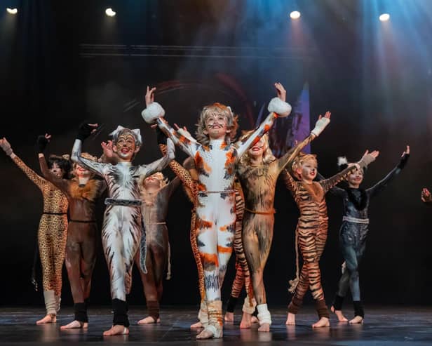 Clever Cats in Twinkletoes at the Winter Gardens