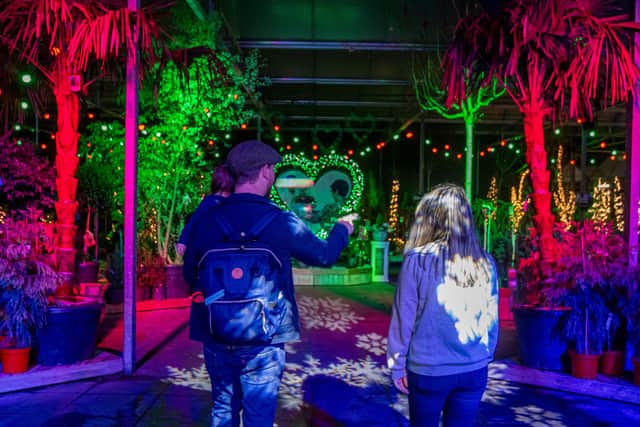 Family enjoys Christmas Light Trail