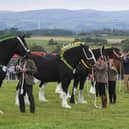 The Great Eccleston Show was highlighted in the research.