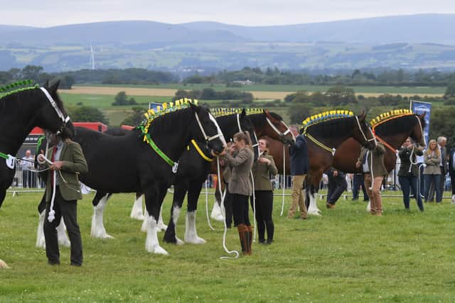 The Great Eccleston Show was highlighted in the research.