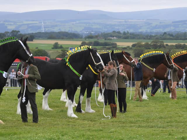 The Great Eccleston Show was highlighted in the research.