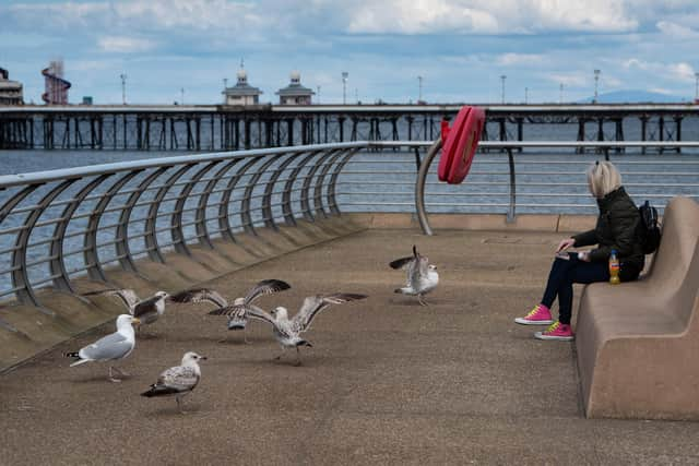 Seagulls on Blackpool promenade