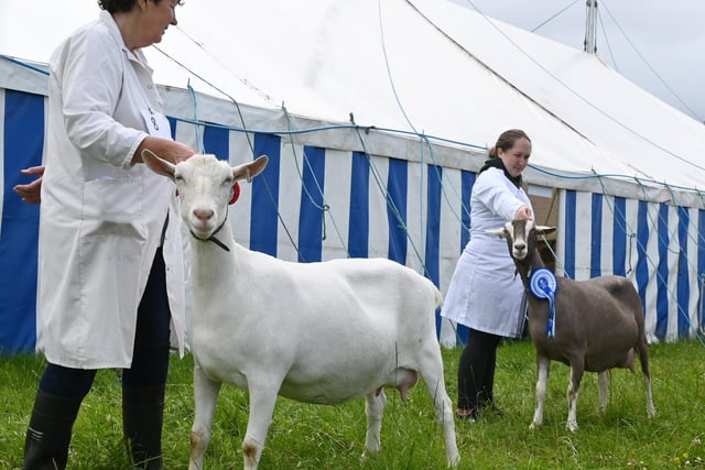 LANCASHIRE POST - BLACKPOOL GAZETTE - The annual Great Eccleston Show, a two-day event showcasing all things rural.  With demonstrations, competitions, arts, crafts, horticulture and agriculture.