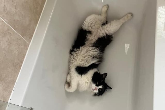 Helen Graham shared this picture of Charlie keeping cool in the bath