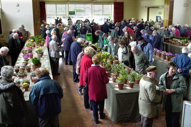 The Alpine Garden Society (North Lancashire Group) held their annual show for the first time at Collegiate High School, Blackpool. Gardeners admire the exhibits