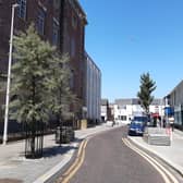 More trees could be planted such as these in Edward Street