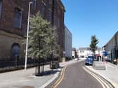 More trees could be planted such as these in Edward Street