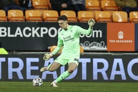 Everton loanee Harry Tyrer enjoyed one of his most impressive nights for Blackpool in the draw with Rotherham, making a number of key saves.