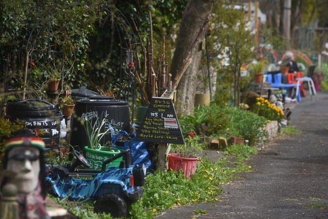 A group of residents have created a community garden in their alleyway called Strawberry Gardens