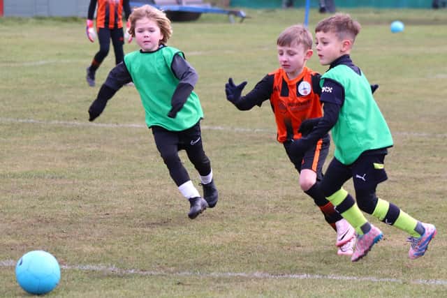 Lytham Junior Maroons and Poulton Town Leopards have been promoted in the B&DYFL under-sevens' competition Picture: Karen Tebbutt
