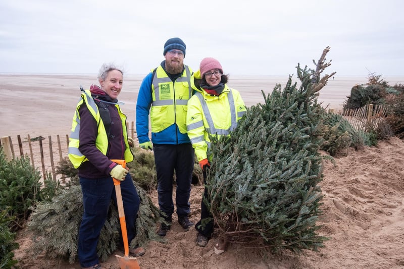 A trio of volunteers who took part in Lancashire Wildlife Trust's Christmas tree planting on St Annes beach,