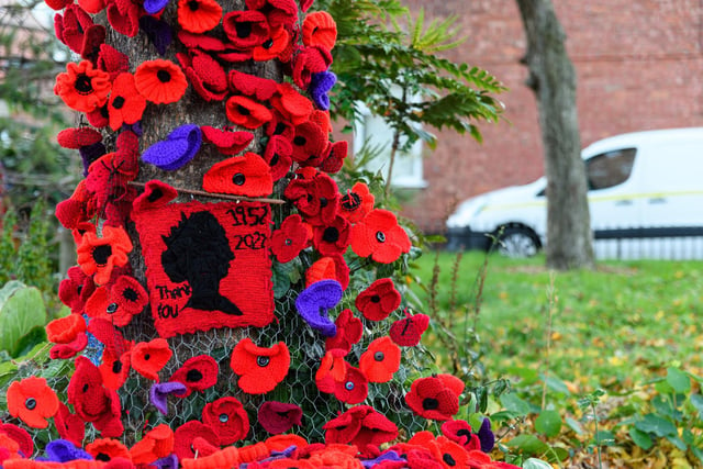 The poppies are all attached to a roll of mesh which is fixed to a tree on the corner of Newcastle Avenue and Breck Road in Blackpool.