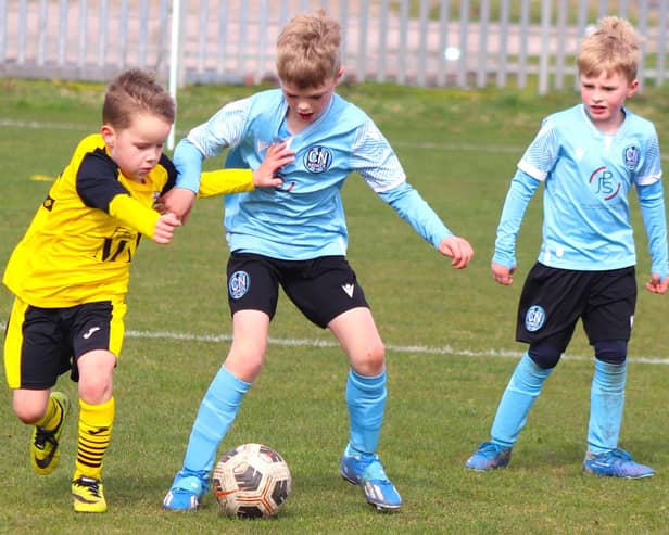 Action from our under-sevens match of the week between CN Sports (in blue) and Clifton Rangers Hornets