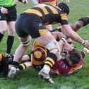 Fylde were pushed all the way by Sheffield. Photo: Chris Farrow