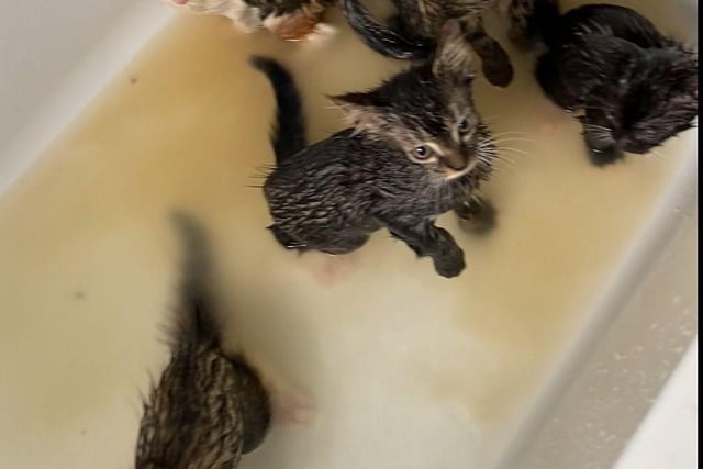 A warm bath was a must